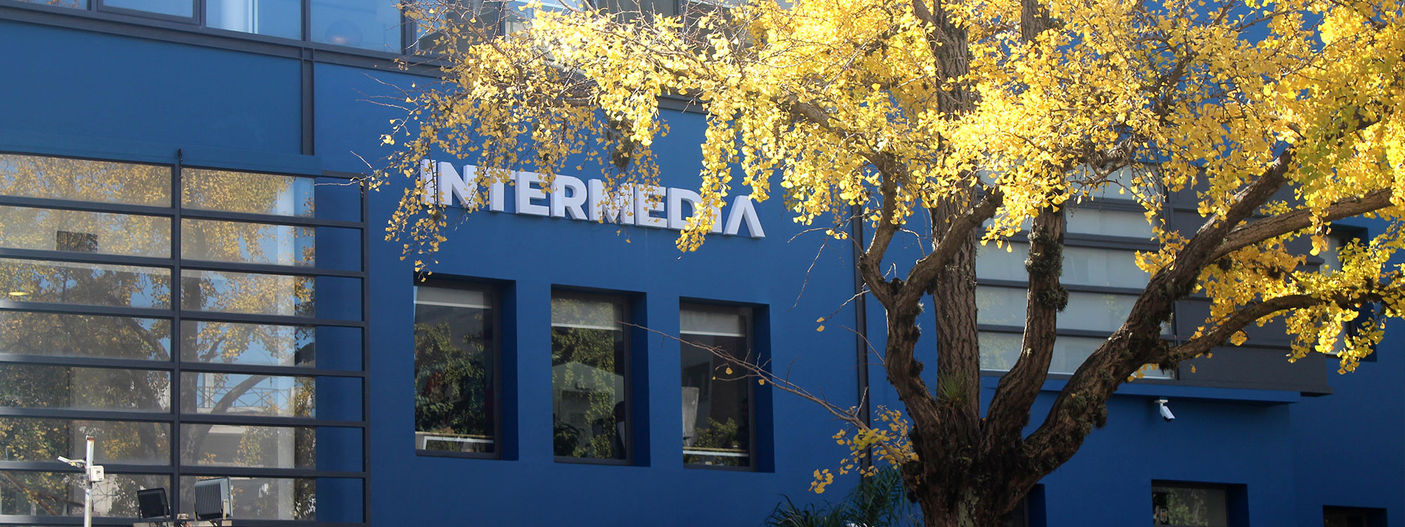 Intermedia Office hall